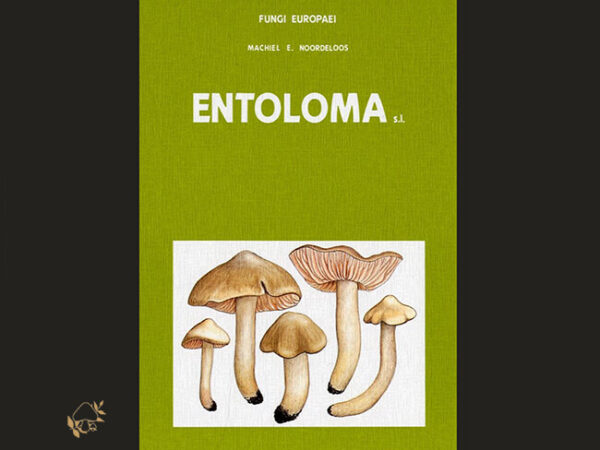 Fungi Europaei 5 / Entoloma s.l. / M. E. NOORDELOOS