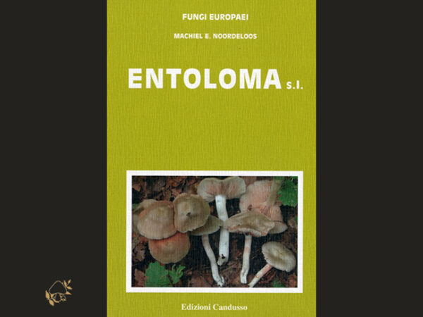 Fungi Europaei 5A / Entoloma s.l. (Supplemento) / M. E. NOORDELOOS