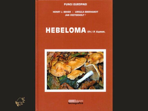 Fungi Europaei 14 / Hebeloma (Fr.) P. Kumm. / H. J. BEKER, U. EBERHARDT & J. VESTERHOLT