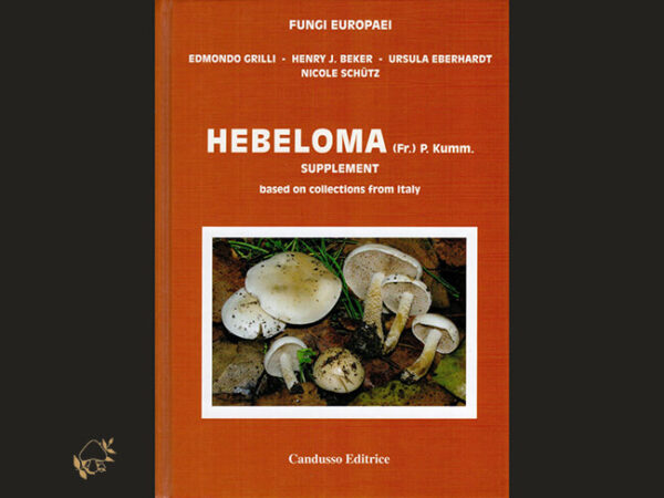 Fungi Europaei 14A / Hebeloma (Fr.) P. Kumm. – Suppl. - based on collections of Italy  / E. GRILLI, H. J. BEKER, U. EBERHARDT & N. SCHÜTZ