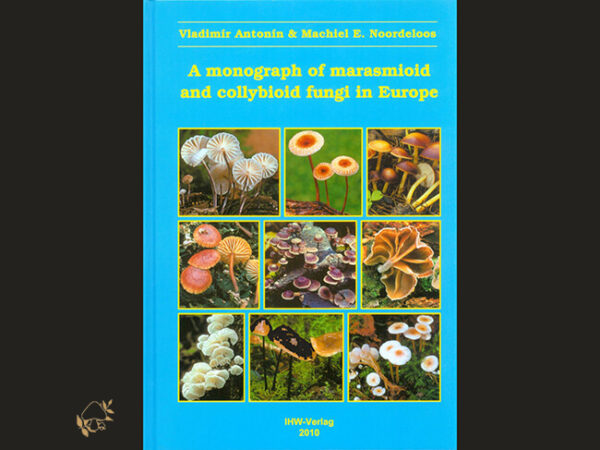 A Monograph of Marasmioid and Collybioid Fungi in Europe / Vladimír Antonín & Machiel E Noordeloos