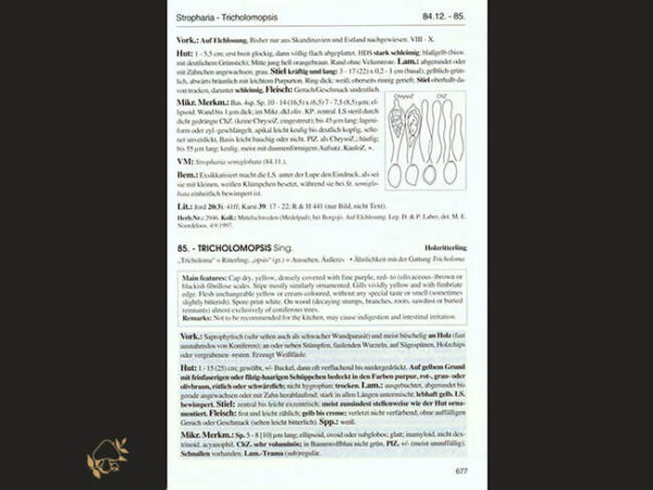 Pilzkompendium Band 1 Beschreibungen / Erhard Ludwig - Image 2