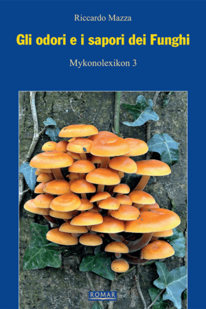Gli odori e i sapori dei funghi (R. Mazza)
