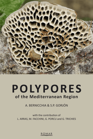 Polypores of the mediterranean region